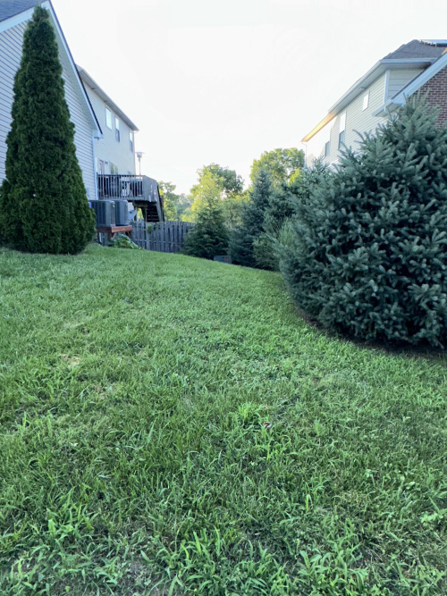 Listing Image 35
