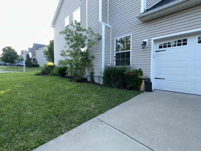 Listing Image 36