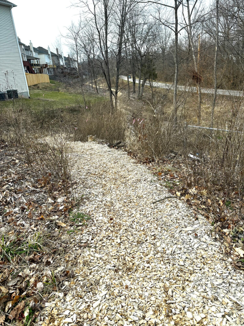 Listing Image 39