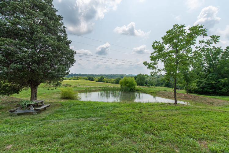 Listing Image 63