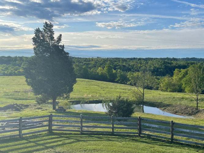 Listing Image 79