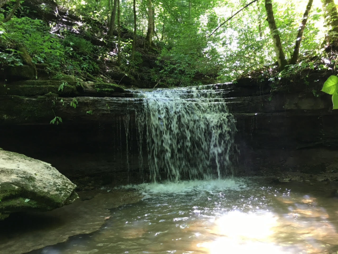 Listing Image 90
