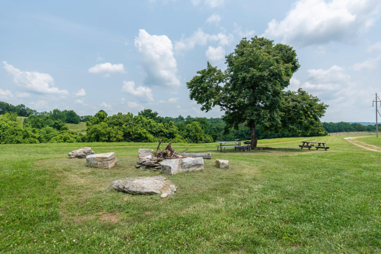Listing Image 64