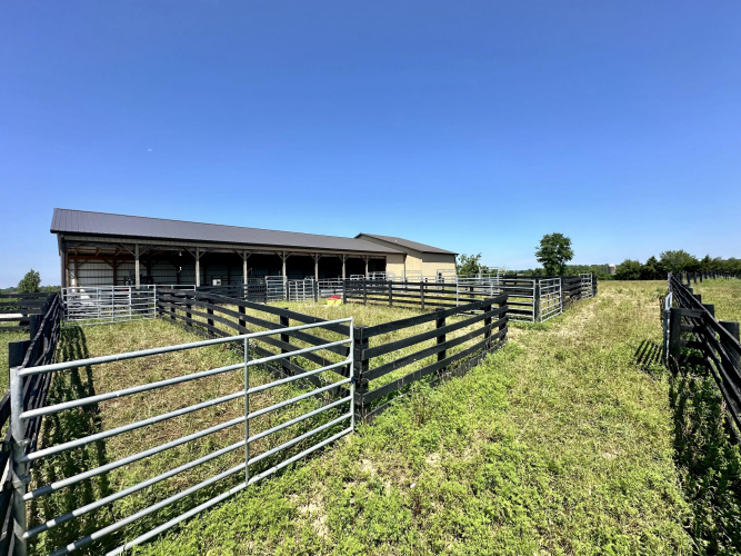Listing Image 15