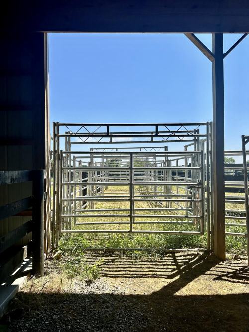 Listing Image 17