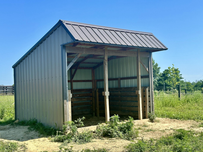 Listing Image 19