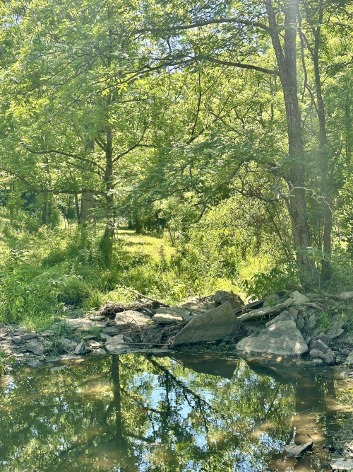 Listing Image 27