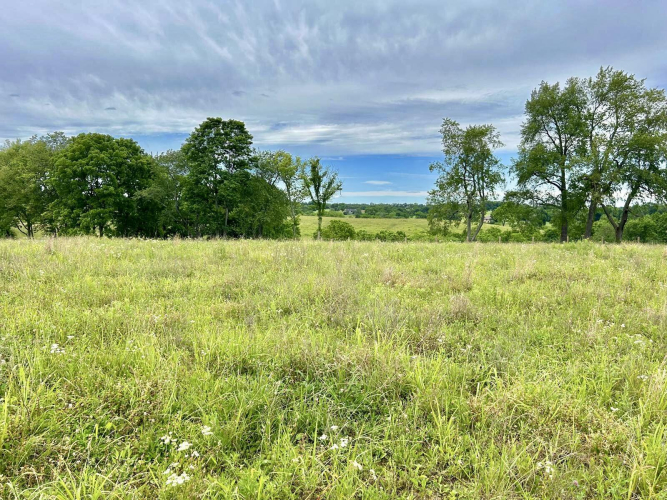 Listing Image 28
