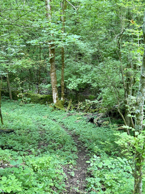 Listing Image 29