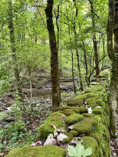 Listing Image 32