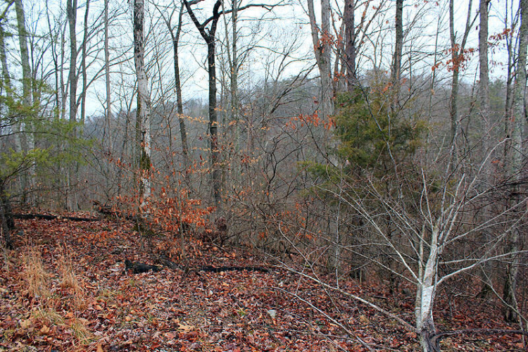 Listing Image 4