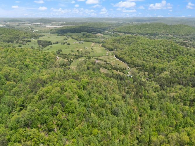 Listing Image 53
