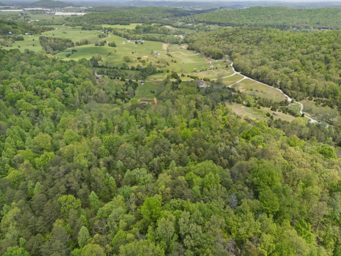 Listing Image 55