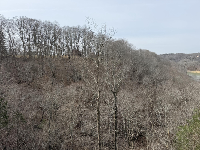 Listing Image 52