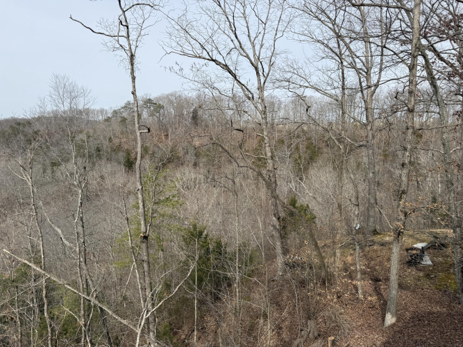 Listing Image 53
