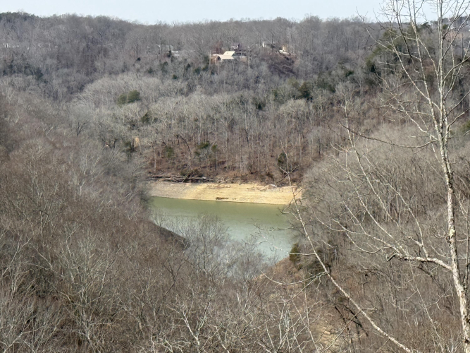 Listing Image 54