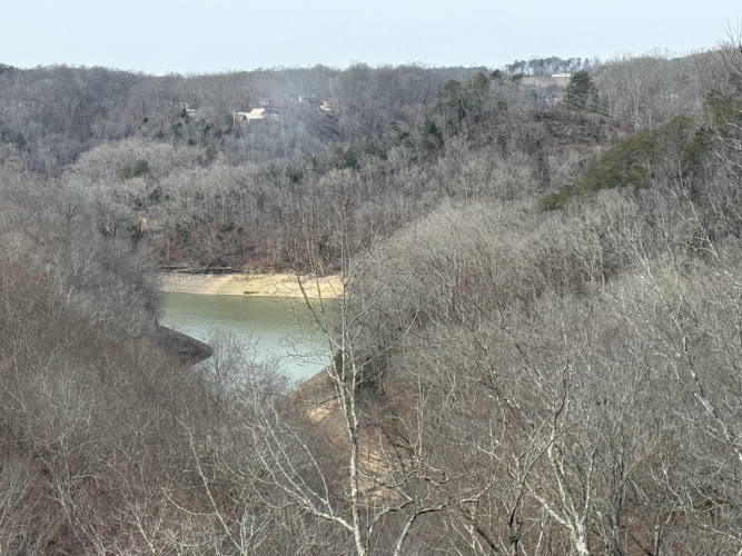 Listing Image 55
