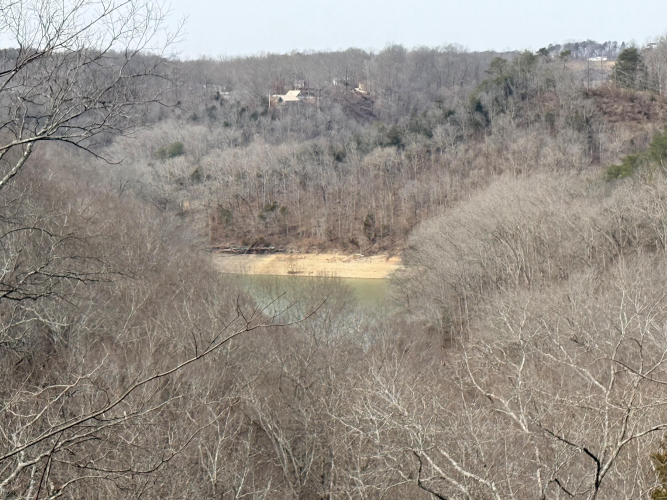 Listing Image 56