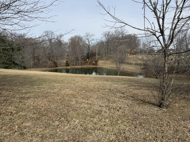 Listing Image 62