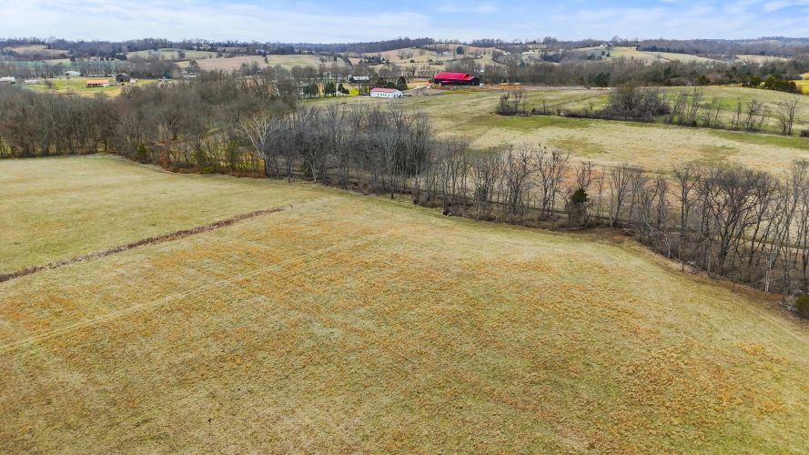 Listing Image 74