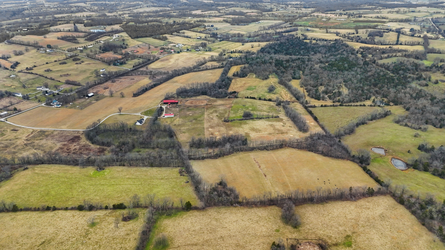 Listing Image 75