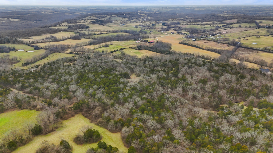 Listing Image 76