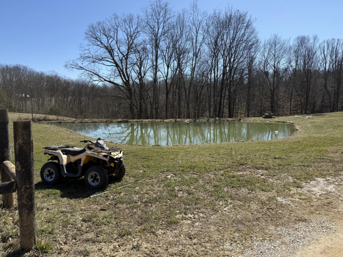 Listing Image 15
