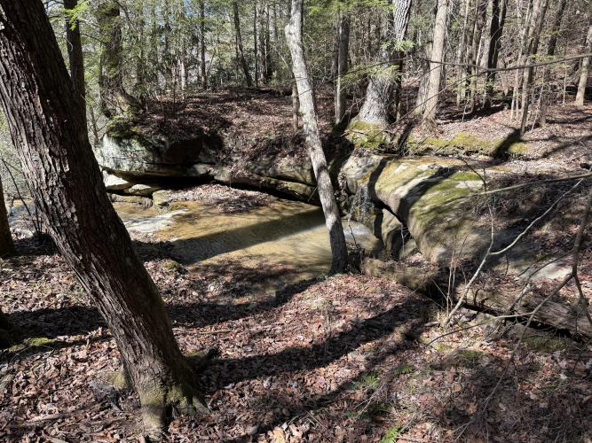 Listing Image 31