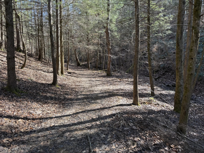 Listing Image 33