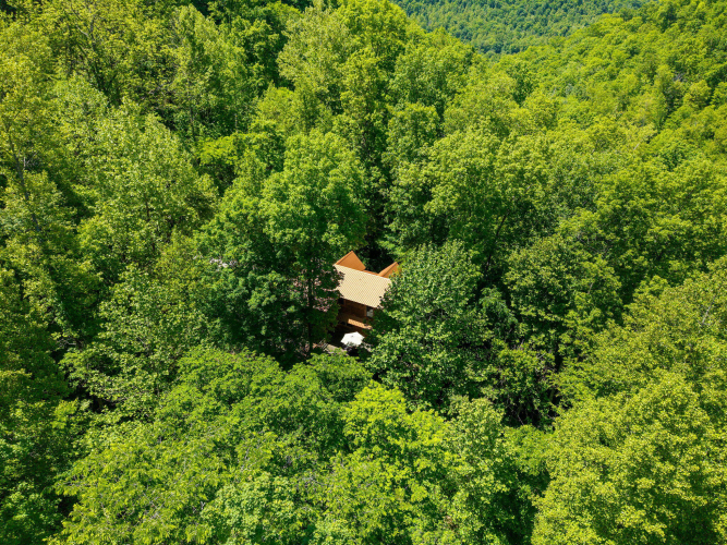 Listing Image 52