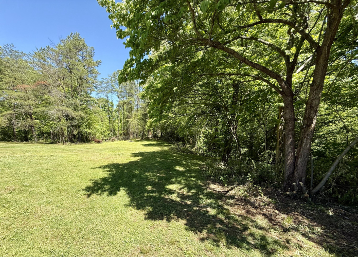 Listing Image 53