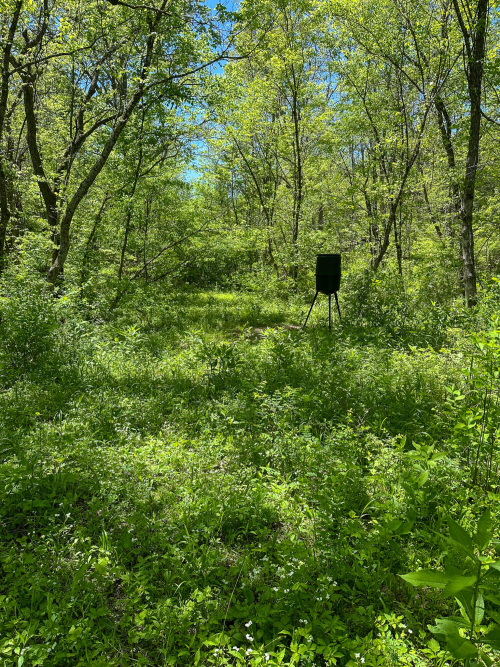 Listing Image 17