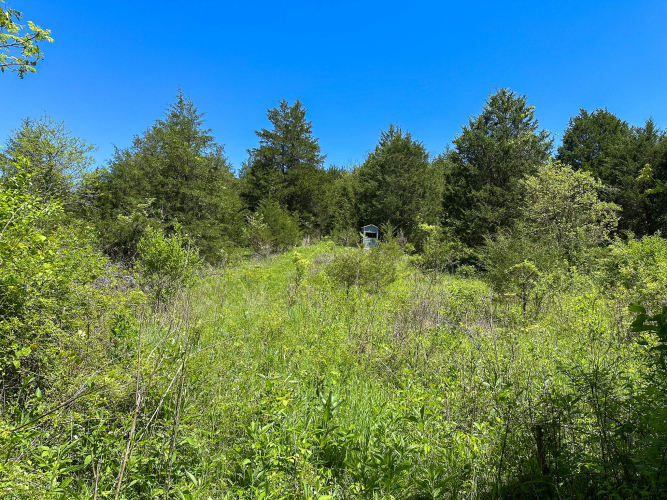 Listing Image 18