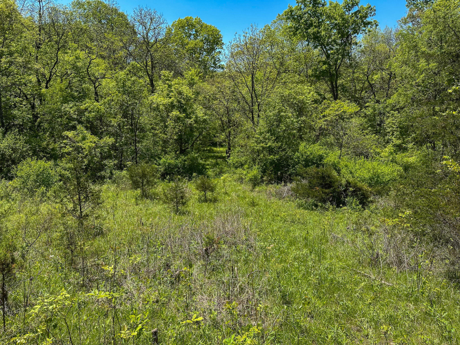 Listing Image 24