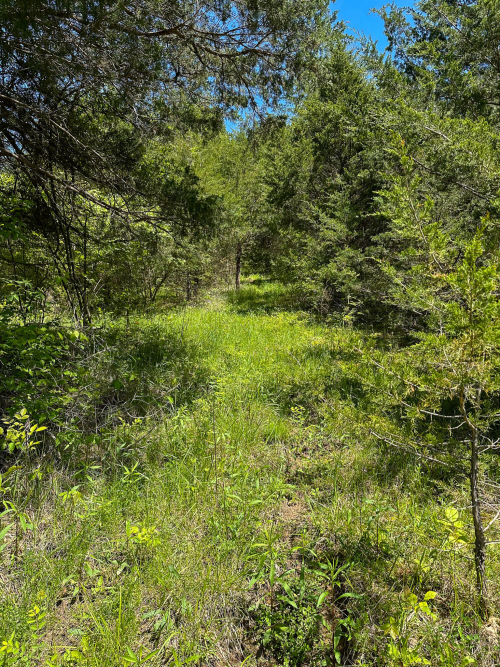Listing Image 25