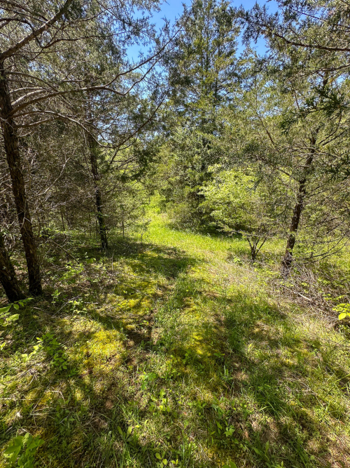 Listing Image 27