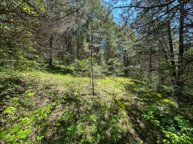 Listing Image 28