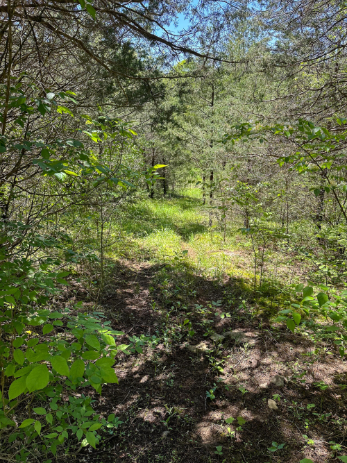 Listing Image 29