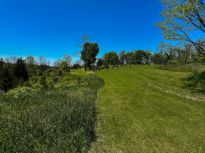 Listing Image 39