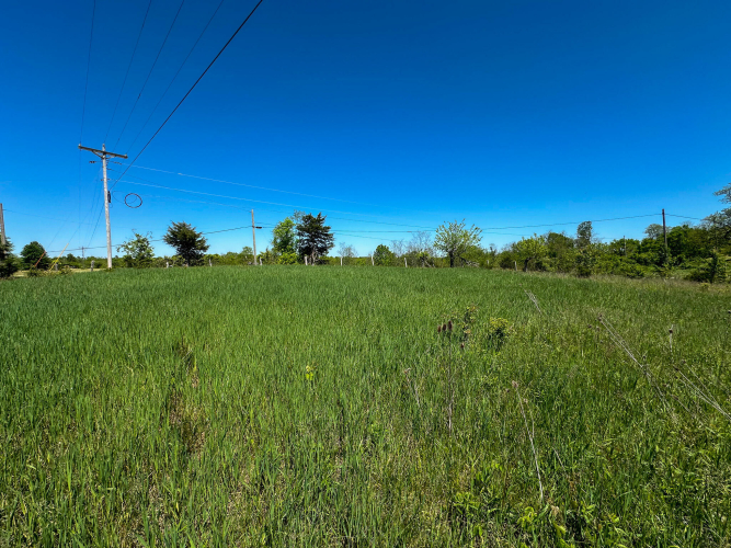 Listing Image 45