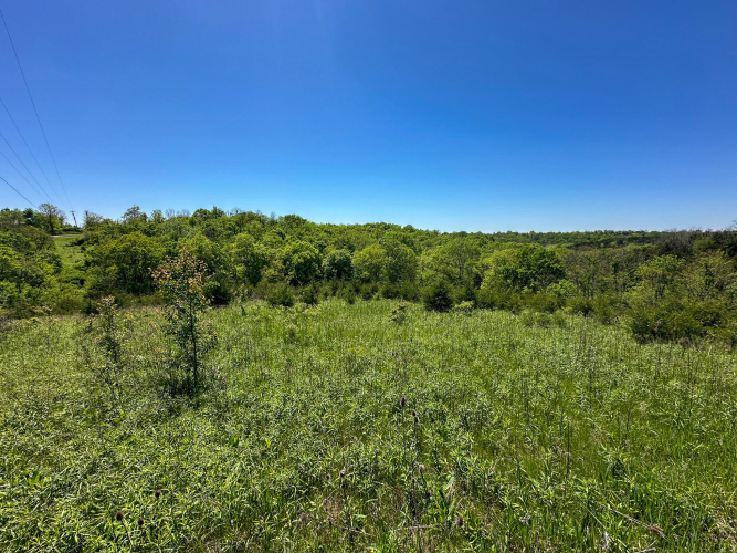Listing Image 47