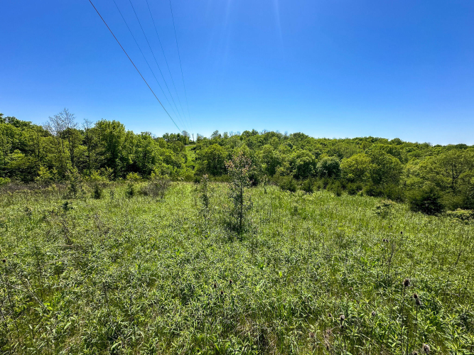 Listing Image 48