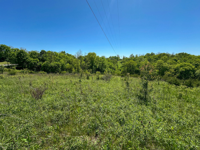Listing Image 49