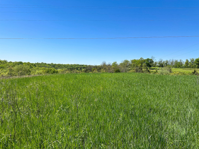 Listing Image 51