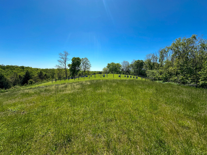 Listing Image 54