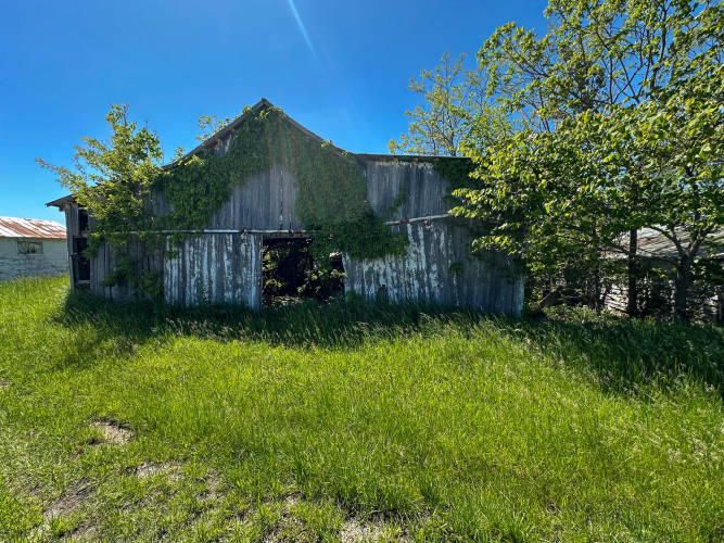 Listing Image 60