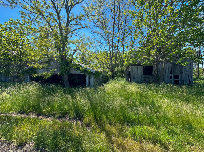 Listing Image 61