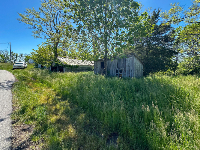 Listing Image 62