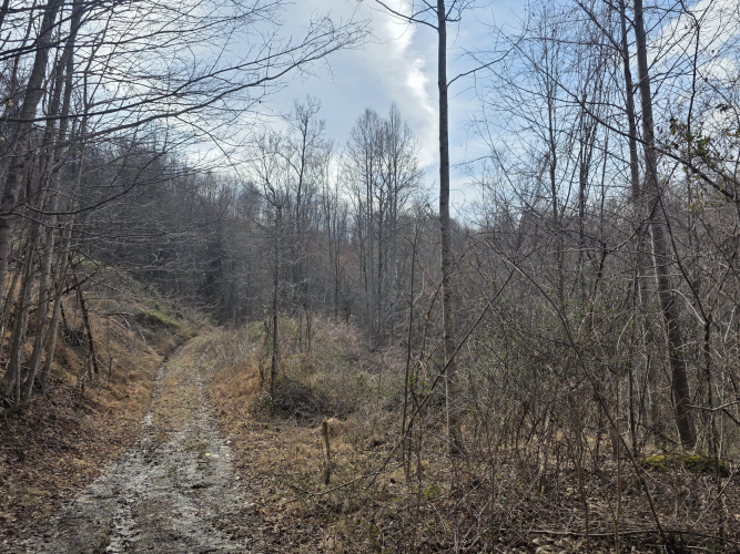 Listing Image 16