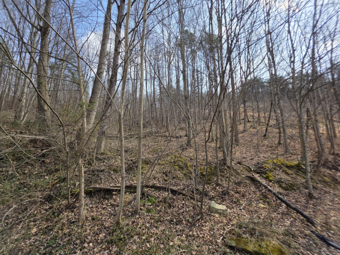 Listing Image 17